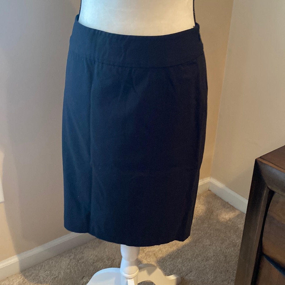 International Concepts | skirt